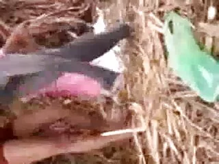 गर्म सेक्स मूवी एचडी में जर्मन एमआईएलए