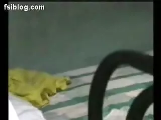 विकरनैसा प्राइमरी स्कैंडल एक्स एक्स एक्स वीडियो हिंदी एचडी मूवी