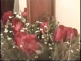 कुछ कमशॉट्स सेक्सी वीडियो एचडी मूवी हॉट