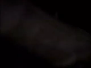 बालों वाली सेक्सी मूवी एचडी बिल्ली भारतीय लड़की गड़बड़