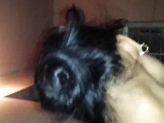 एशियाई हिंदी सेक्सी एचडी मूवी वीडियो