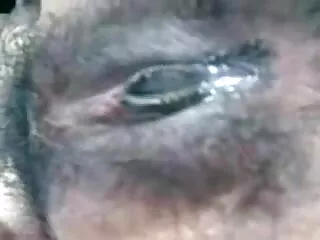 मीठी सेक्स मूवी एचडी में दादी - ६