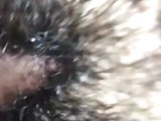 पेंटीहोज निर्देश CEI सेक्सी फिल्म फुल एचडी सेक्सी