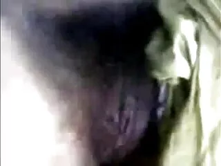 छोटी सेक्सी वीडियो एचडी मूवी हिंदी में तैसी जॉय