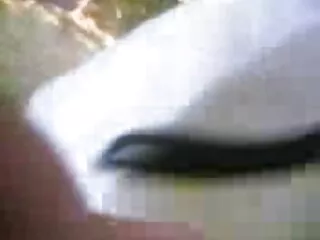 बस्टी स्टैची सेक्सी मूवी हिंदी में फुल एचडी बाथरूम क्विक