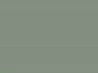 डच डिबाई ब्लू मूवी एचडी